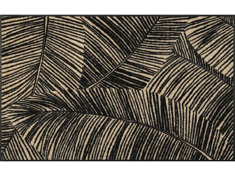 Fernetic wash + dry Matte