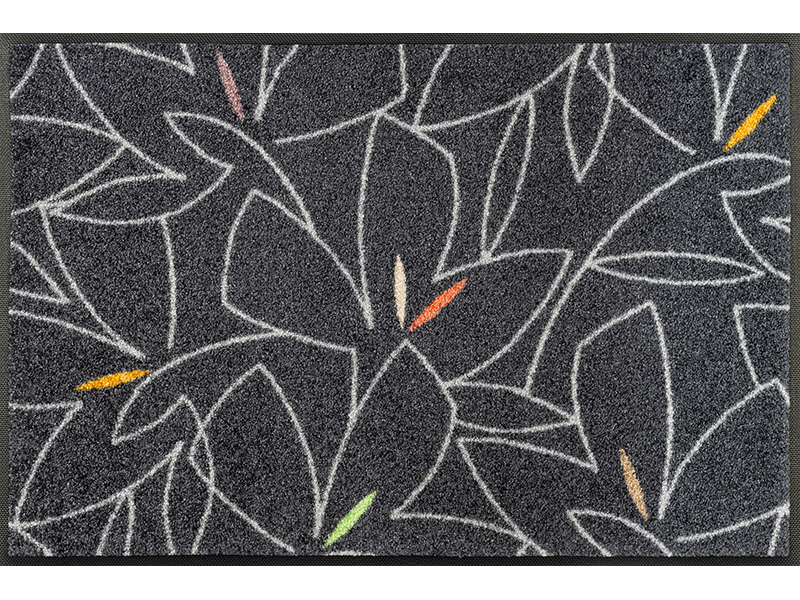 Linostre wash + dry Matte