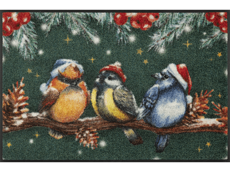 Magic Birds wash + dry Matte