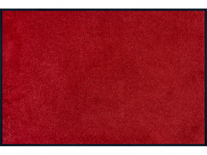 Monocolour Regal Red wash + dry Matte