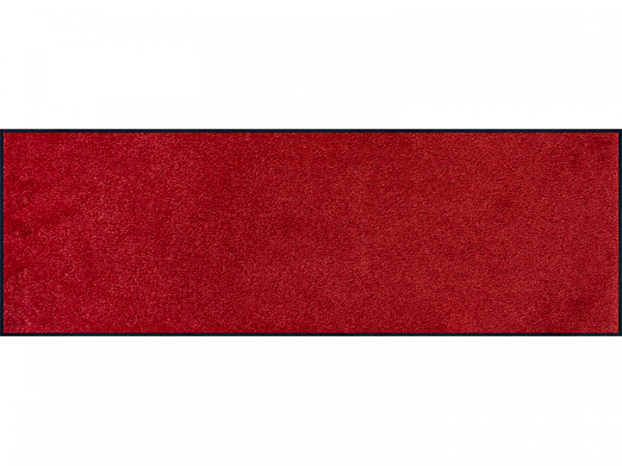 Monocolour Regal Red wash + dry Matte