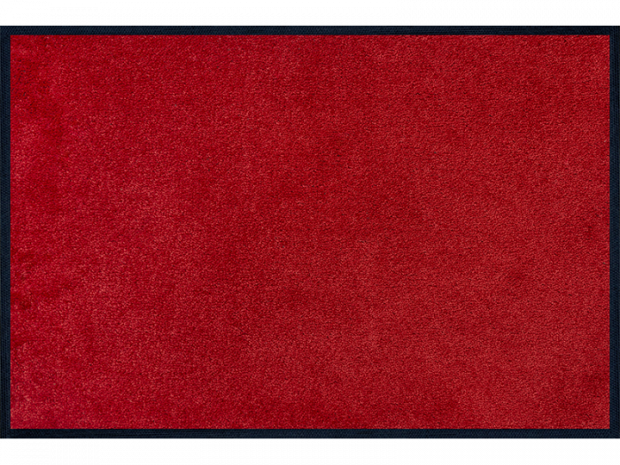 Monocolour Regal Red wash + dry Matte