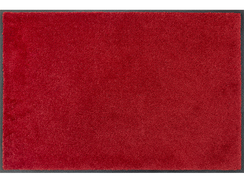 Monocolour Regal Red wash + dry Matte