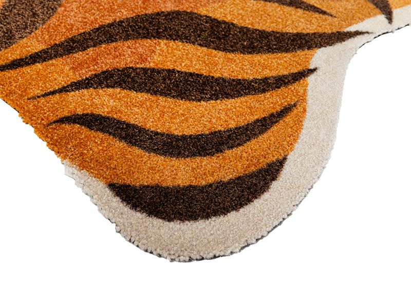 Safari Look wash + dry Matte