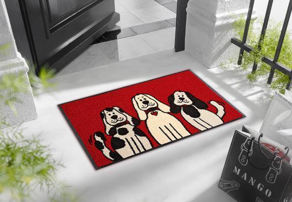 Three Dogs wash + dry Matte