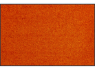 Trendcolour Burnt Orange wash + dry Matte