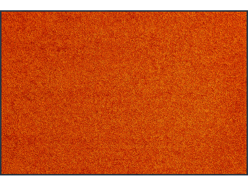 Trendcolour Burnt Orange wash + dry Matte