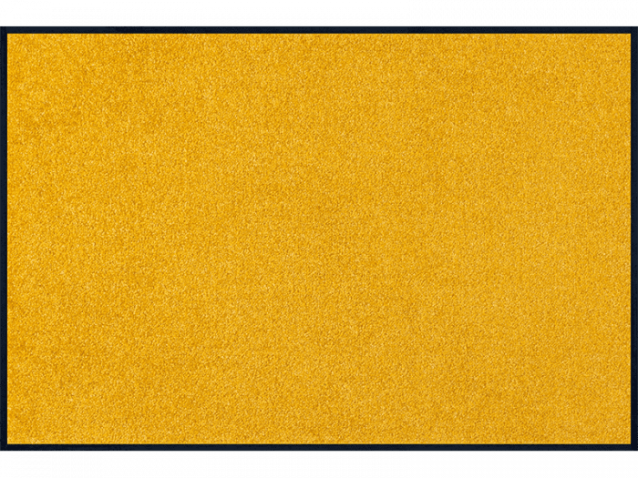 Trendcolour Honey Gold wash + dry Matte