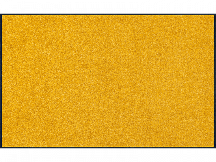 Trendcolour Honey Gold wash + dry Matte