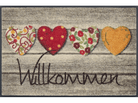 Willkommensgruss wash + dry Fußmatte