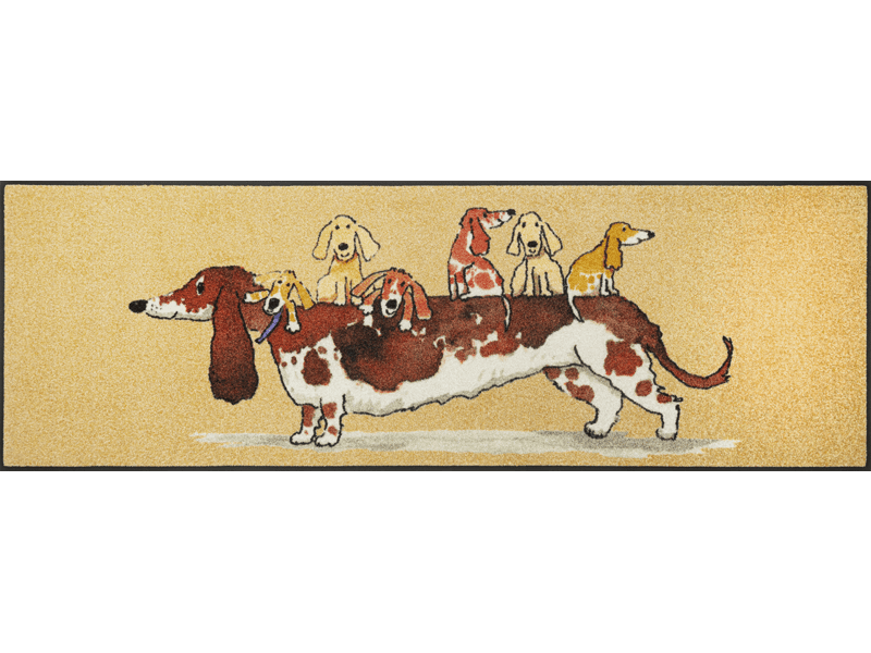 Woof Buddies wash + dry Matte