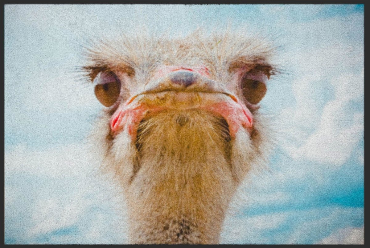 Fussmatte Strauß 6057