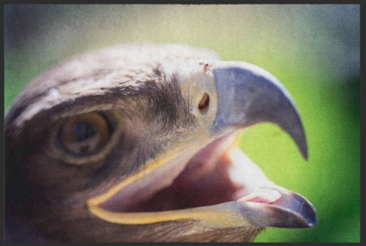 Fussmatte Adler 6102