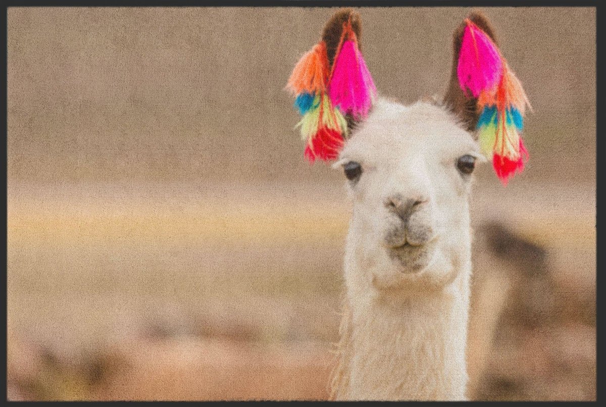 Fussmatte Alpaka 4535