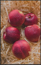 Fussmatte Apfel 7577