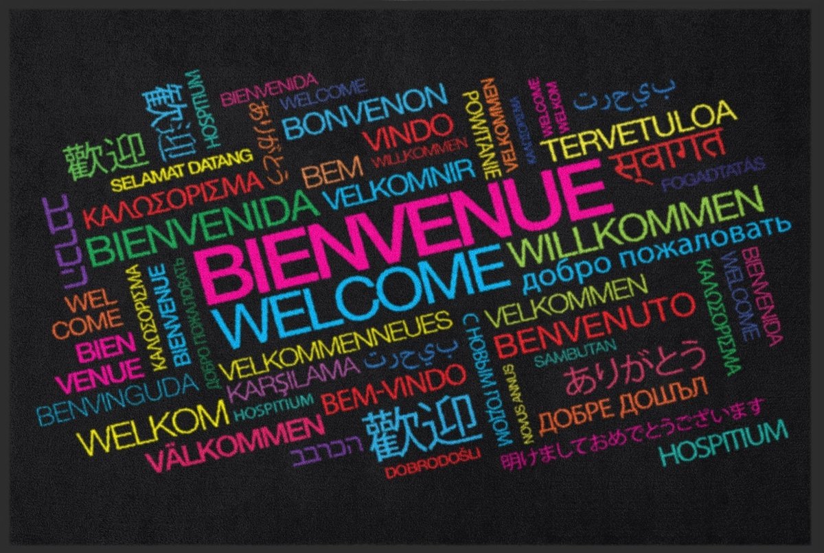 Fussmatte Bienvenue 4049