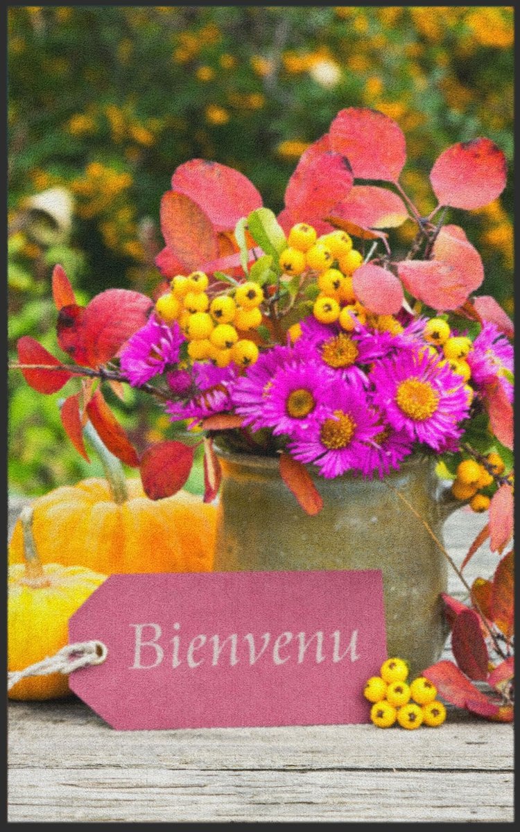 Fussmatte Bienvenue 7019