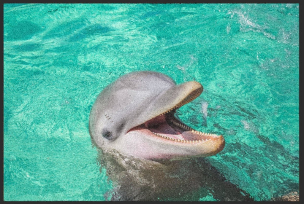 Fussmatte Delfin 6297 - Fussmattenwelt