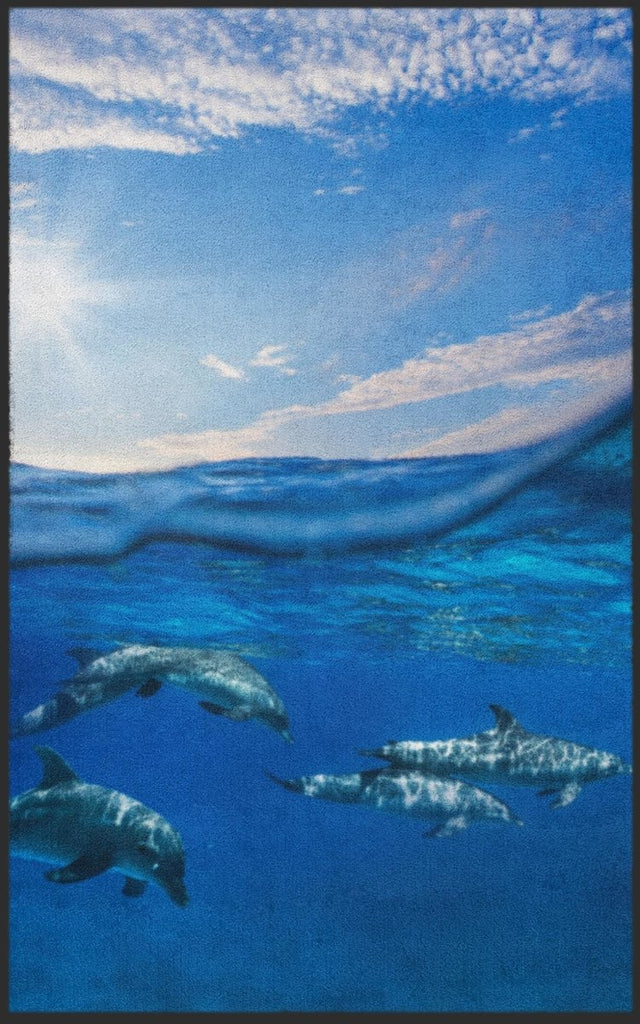 Fussmatte Delfin 7683 - Fussmattenwelt