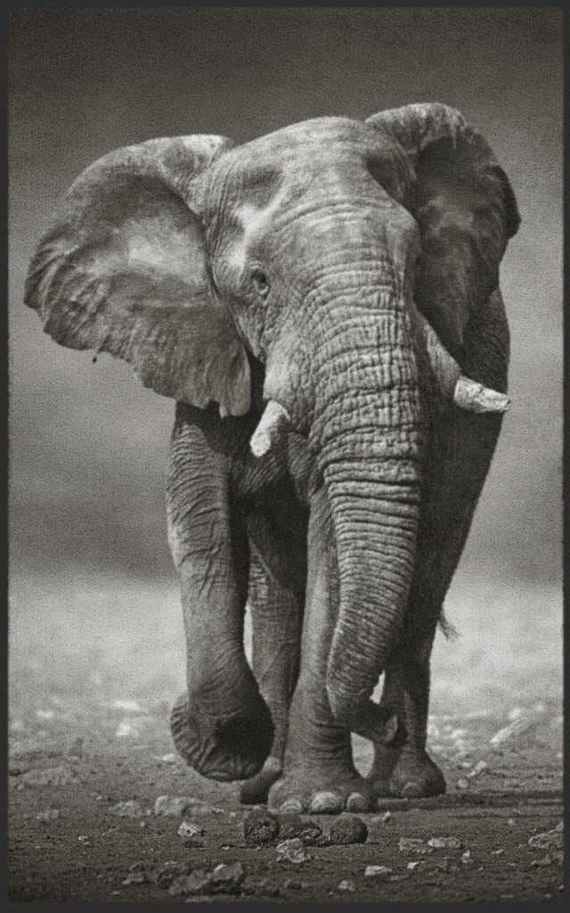 Fussmatte Elefant 7481 - Fussmattenwelt