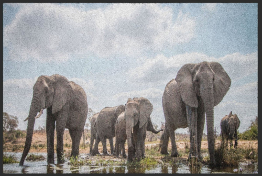 Fussmatte Elefanten 4518 - Fussmattenwelt