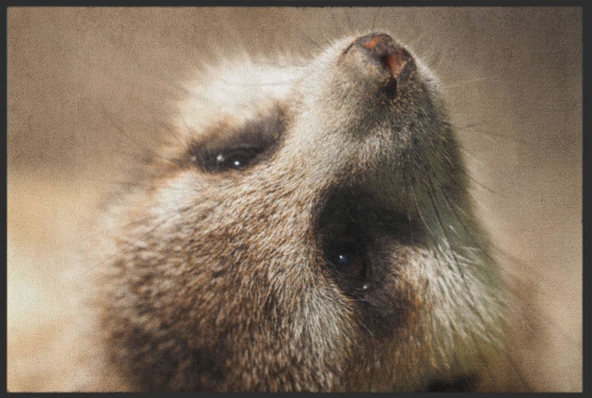 Fussmatte Erdmännchen 6290