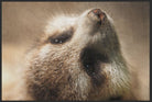 Fussmatte Erdmännchen 6290