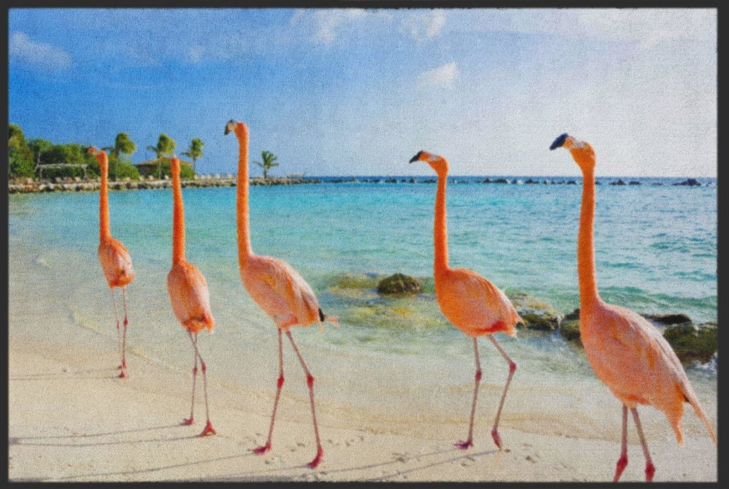 Fussmatte Flamingo 4528 - Fussmattenwelt