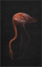 Fussmatte Flamingo 7260
