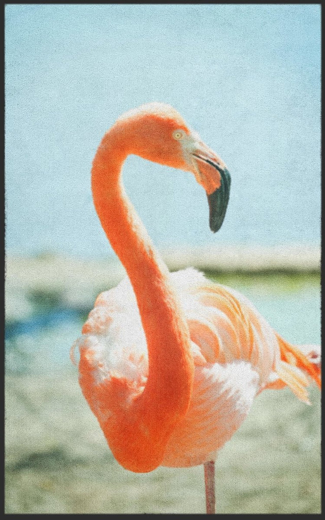 Fussmatte Flamingo 7780 - Fussmattenwelt