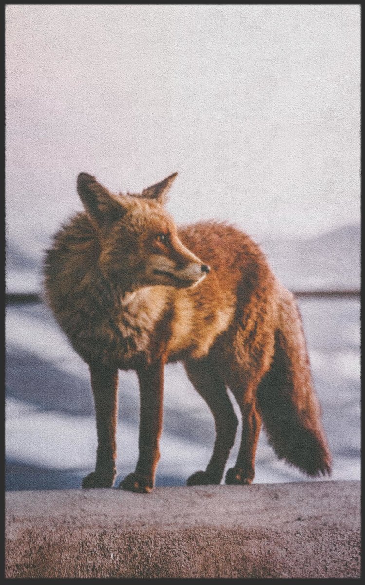 Fussmatte Fuchs 7553