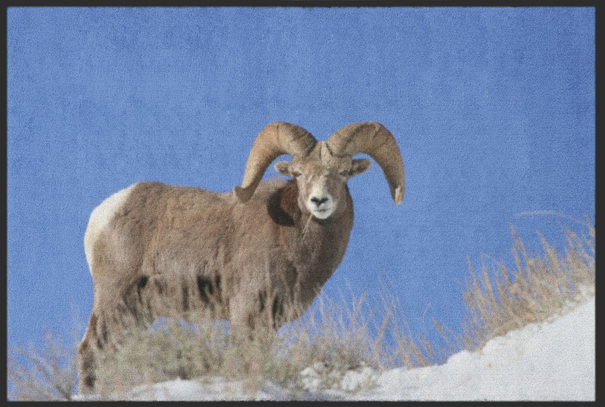 Fussmatte Gaisbock 6208