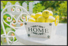 Fussmatte Home Garten 4235