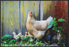 Fussmatte Huhn 6113