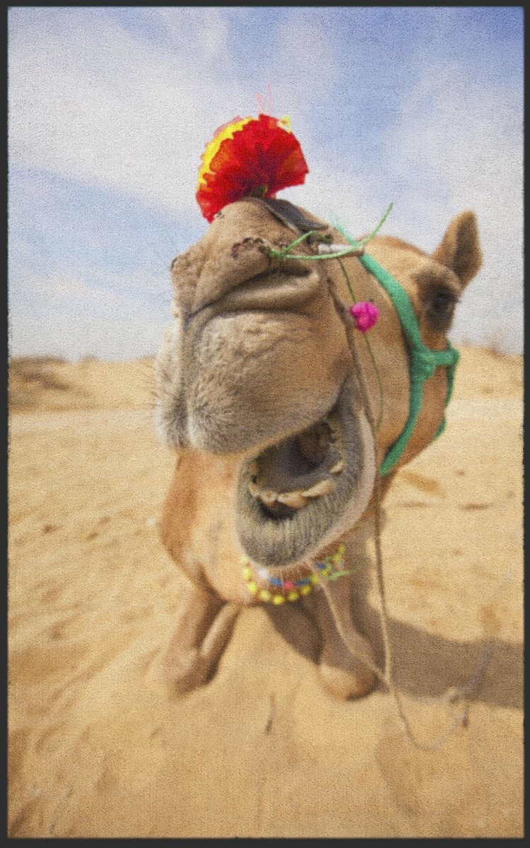 Fussmatte Kamel 7126