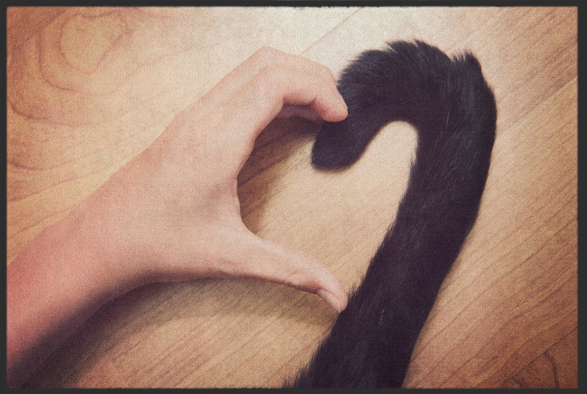 Fussmatte Katze 10153