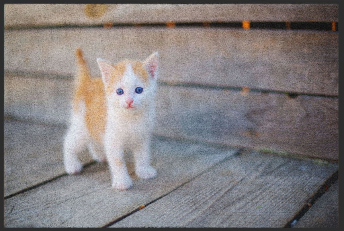 Fussmatte Katze 4818 - Fussmattenwelt