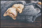 Fussmatte Katze 6266