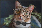 Fussmatte Katze 6307