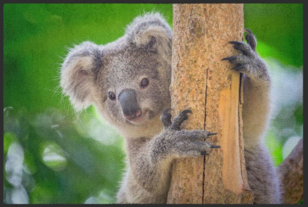 Fussmatte Koala 4516 - Fussmattenwelt