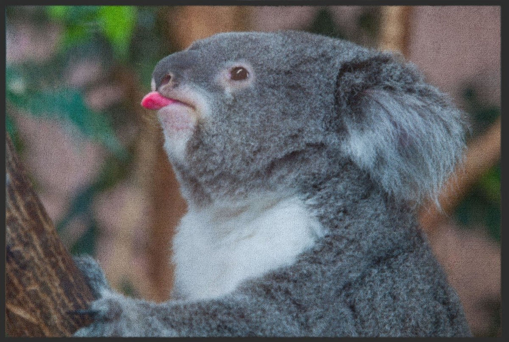 Fussmatte Koala 4813 - Fussmattenwelt