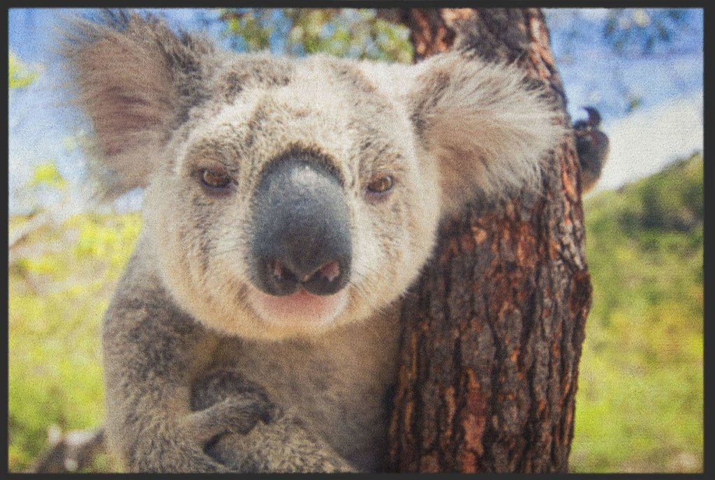Fussmatte Koala 5085 - Fussmattenwelt