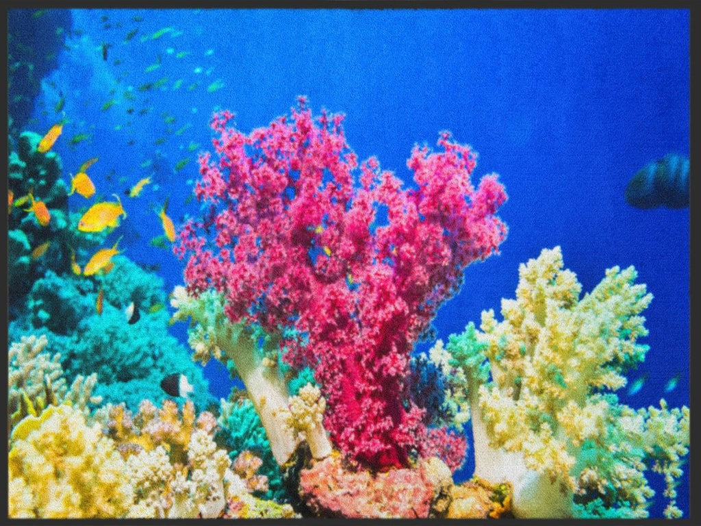 Fussmatte Koralle 4991 - Fussmattenwelt