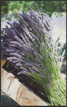 Fussmatte Lavendel 7597