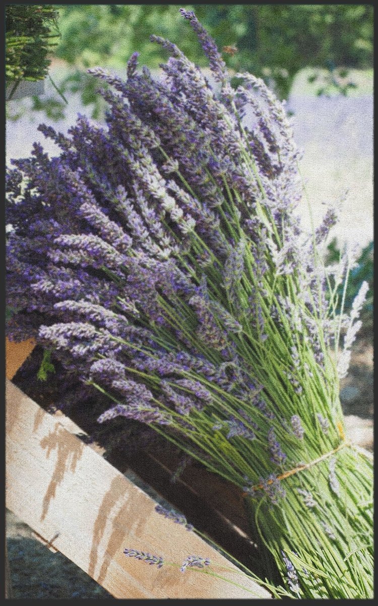Fussmatte Lavendel 7597