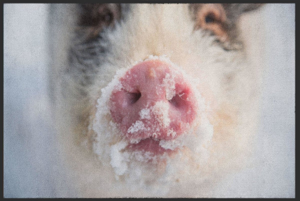 Fussmatte Lustig 4508