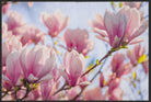 Fussmatte Magnolie 5084