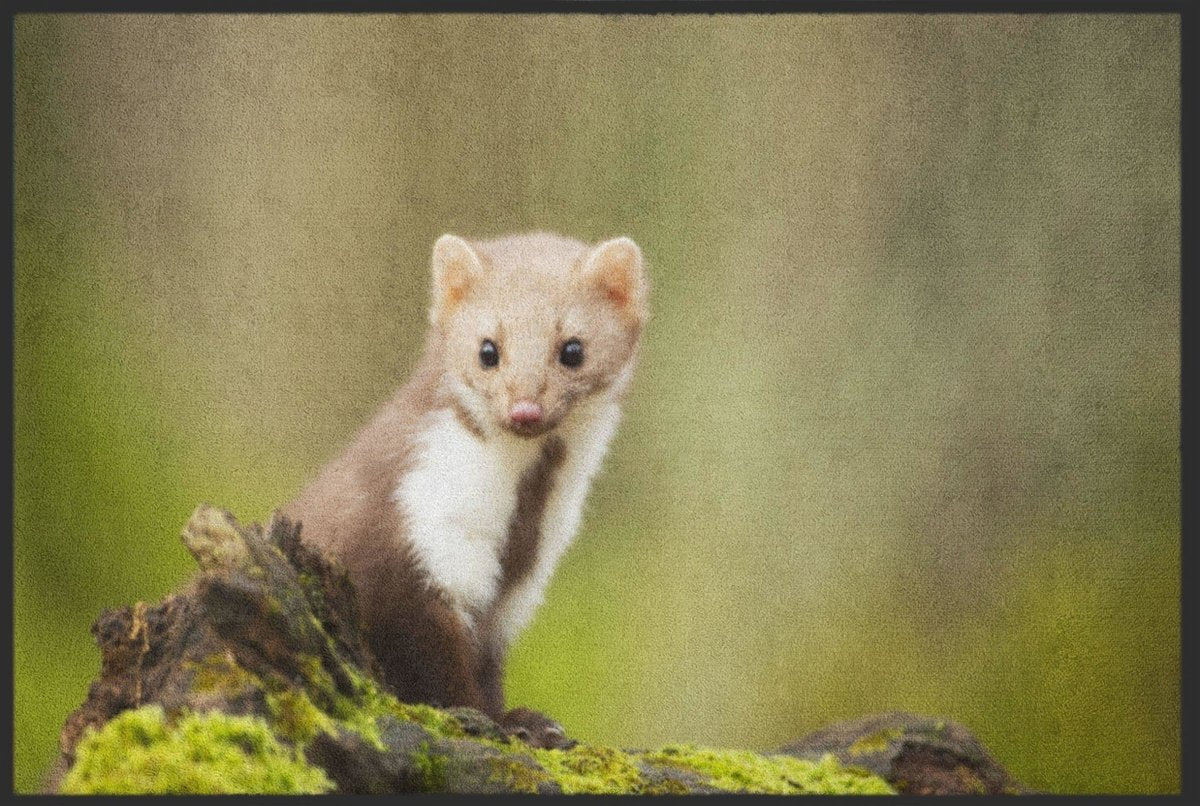 Fussmatte Marder 4511