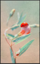 Fussmatte Marienkäfer 7297