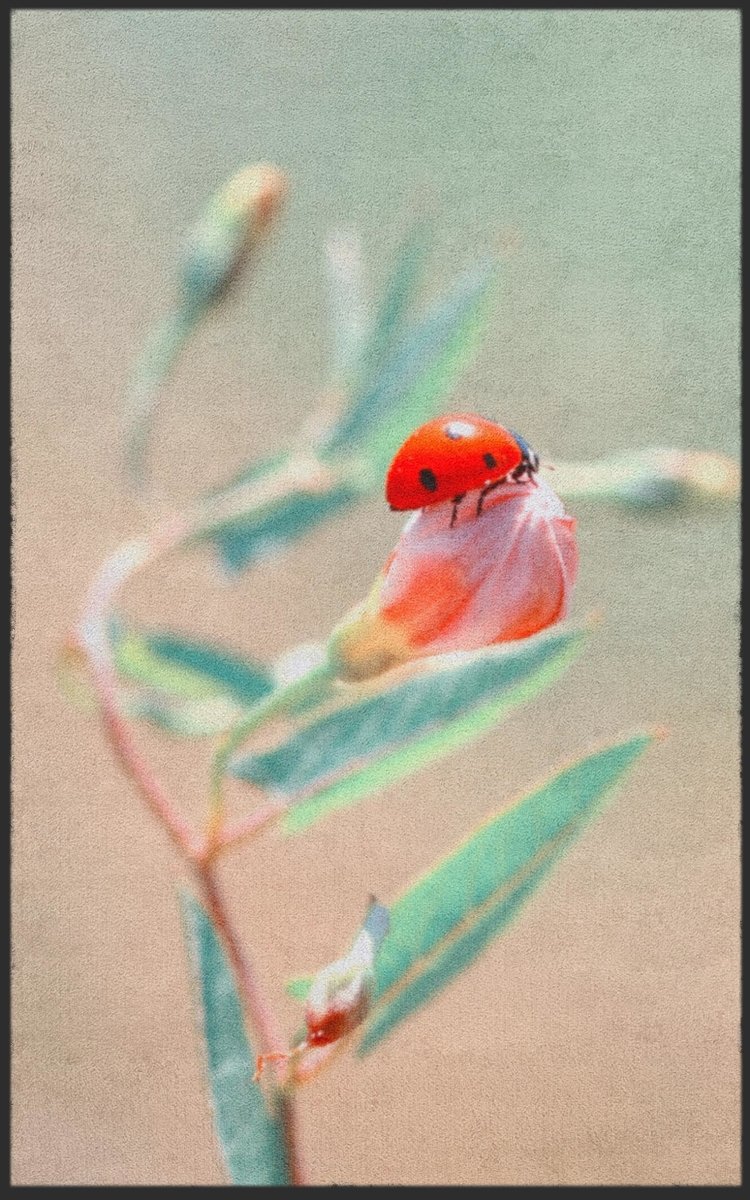 Fussmatte Marienkäfer 7297